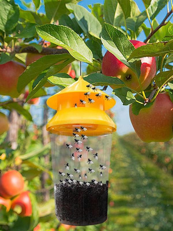 2pcs Reusable Fly Traps Fly Ba - Bug Catching Kit 评论和价格