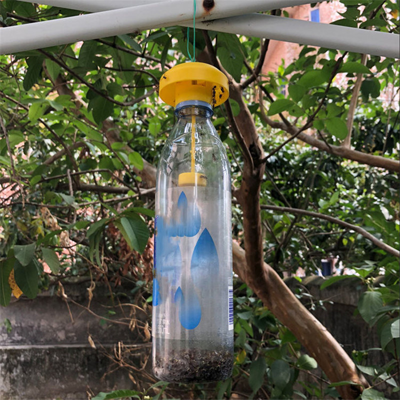1/3Pcs Fruit Fly Trap Killer T - Bug Catching Kit 评论和价格
