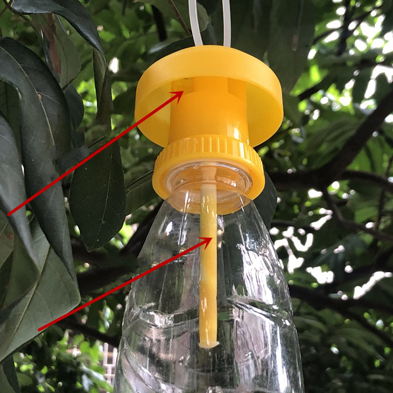 1/3Pcs Fruit Fly Trap Killer T - Bug Catching Kit 评论和价格