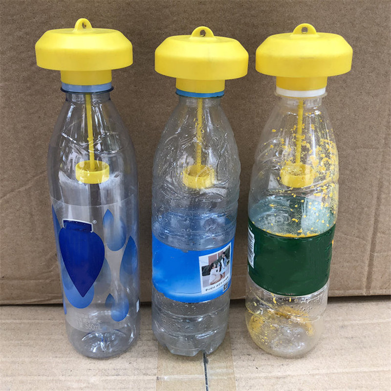 1/3Pcs Fruit Fly Trap Killer T - Bug Catching Kit 评论和价格