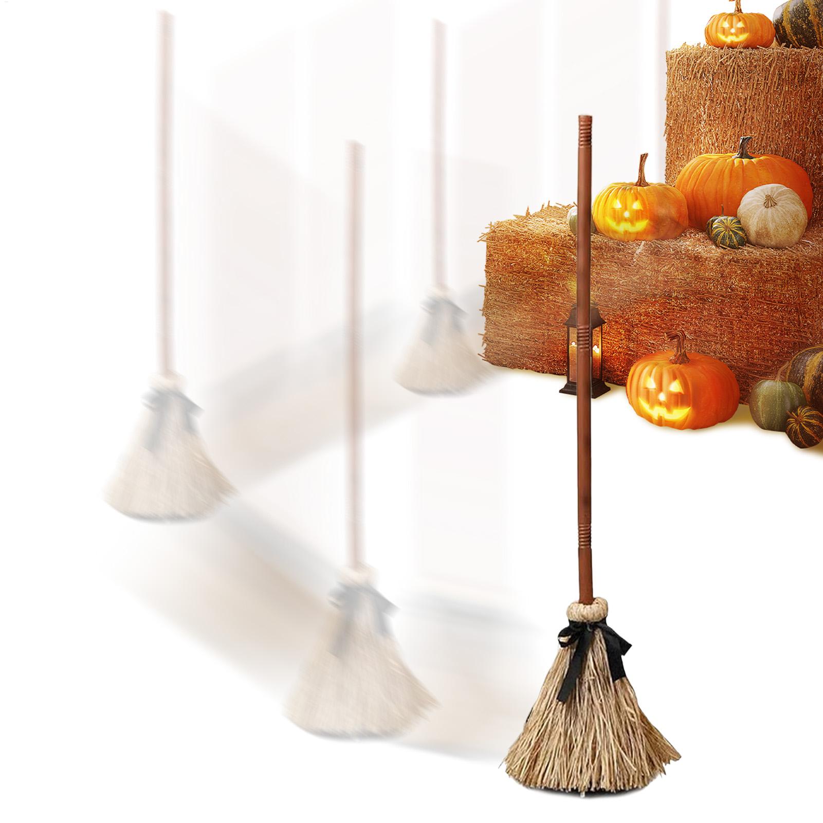 Witch Broom Battery Powered Fu - Kids Outdoor Broom 评论和价格